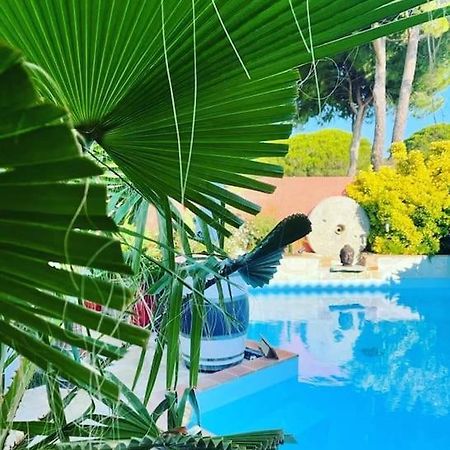 Hebergement Insolite Studio Grau Du Roi Mas Des Marines Piscine Le Grau-du-Roi Buitenkant foto