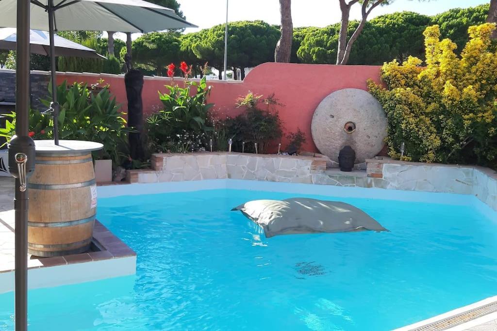 Hebergement Insolite Studio Grau Du Roi Mas Des Marines Piscine Le Grau-du-Roi Buitenkant foto